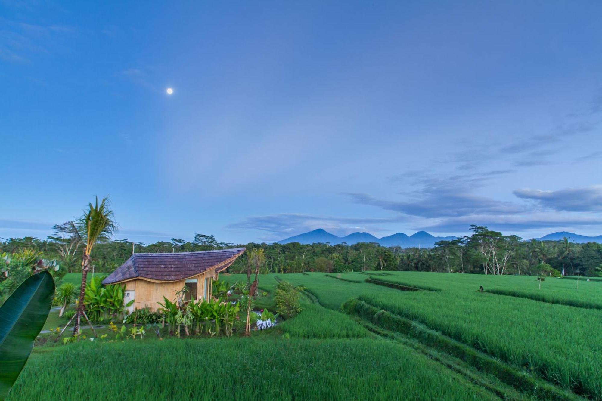 Ipian Cinta By Pramana Villas Убуд Экстерьер фото